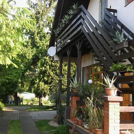 Agave Apartman فيلينس المظهر الخارجي الصورة