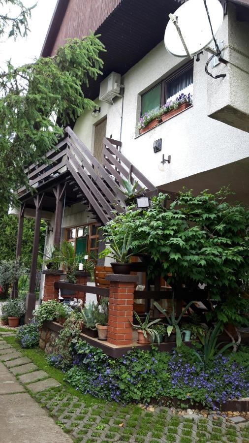 Agave Apartman فيلينس المظهر الخارجي الصورة