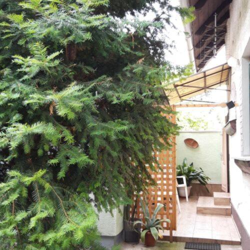 Agave Apartman فيلينس المظهر الخارجي الصورة
