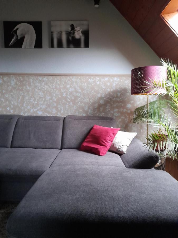 Agave Apartman فيلينس المظهر الخارجي الصورة