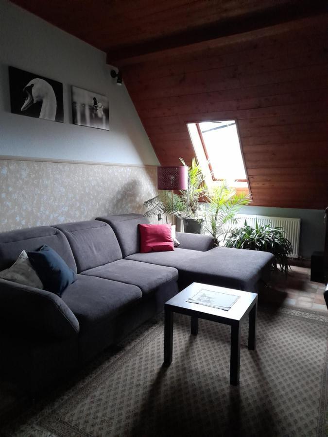 Agave Apartman فيلينس المظهر الخارجي الصورة
